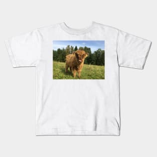 Scottish Highland Cattle Calf 1523 Kids T-Shirt